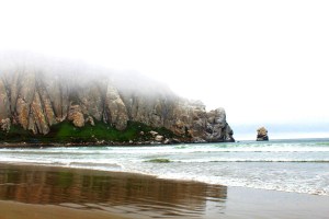 Processed with MOLDIV